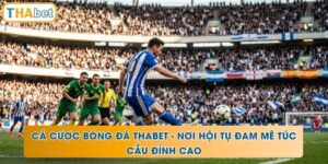 Cá Cược Bóng Đá THABET - Nơi Hội Tụ Đam Mê Túc Cầu Đỉnh Cao