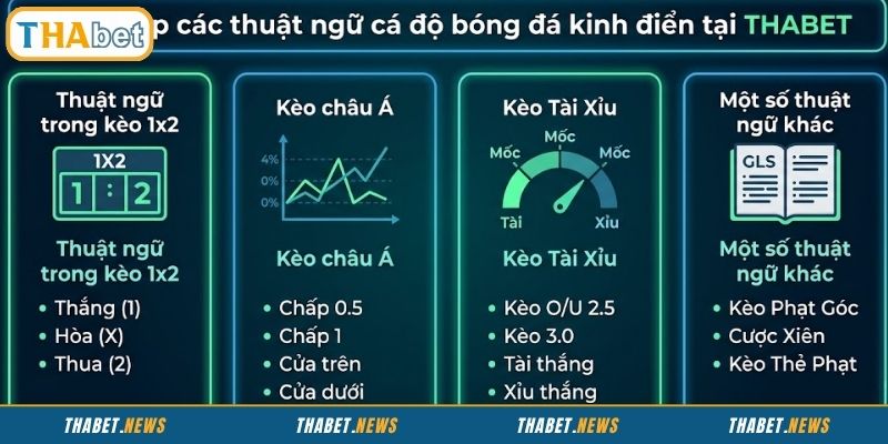 Danh sách thuật ngữ cá độ bóng đá hay dùng tại THABET
